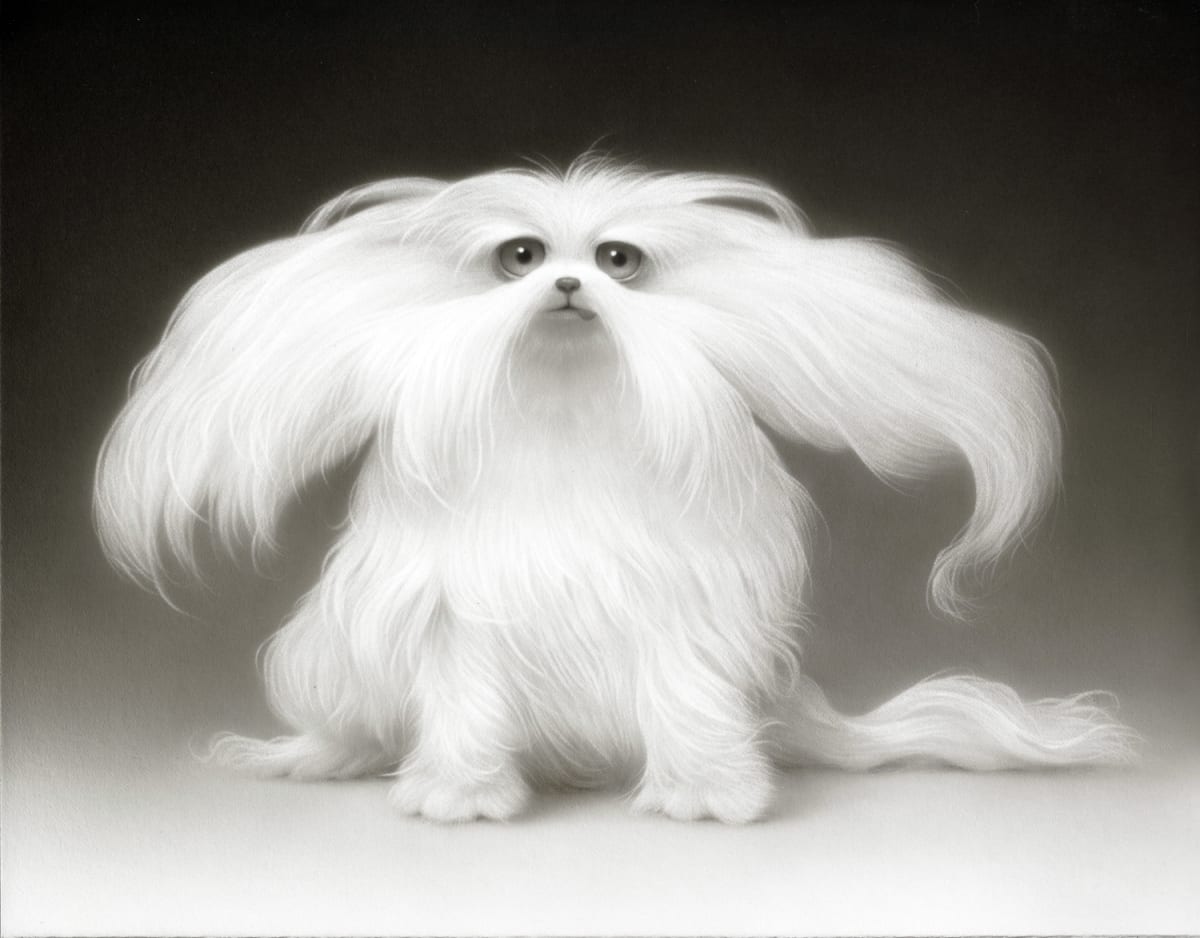 Thompson's Fuzzy by Travis Louie 