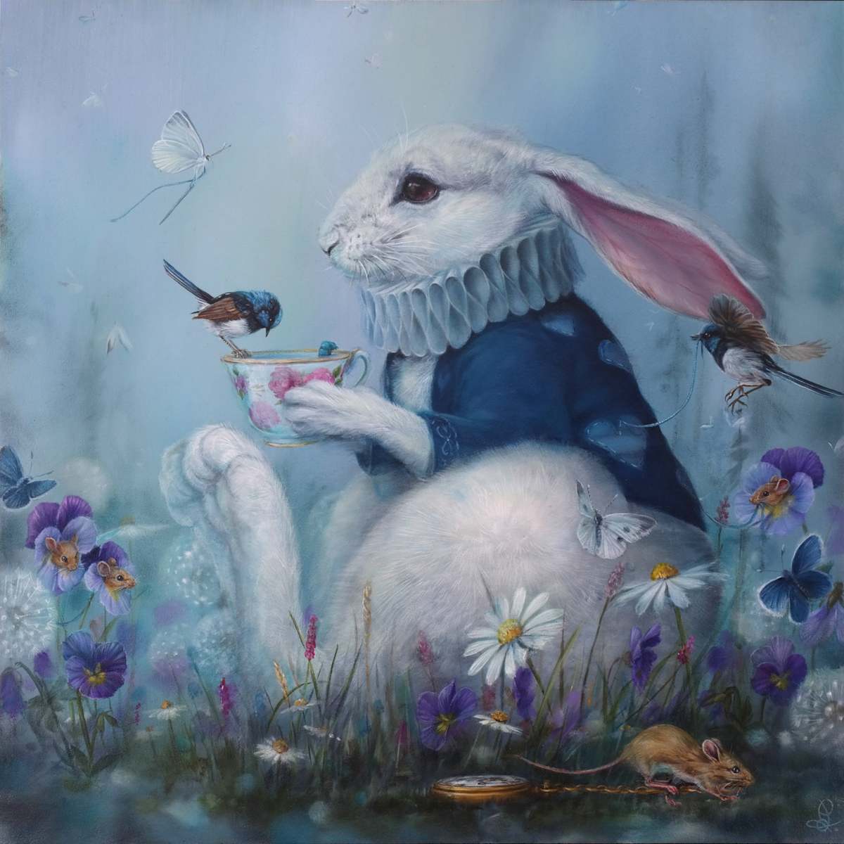 Curating Curiosity by Dewi Plass 