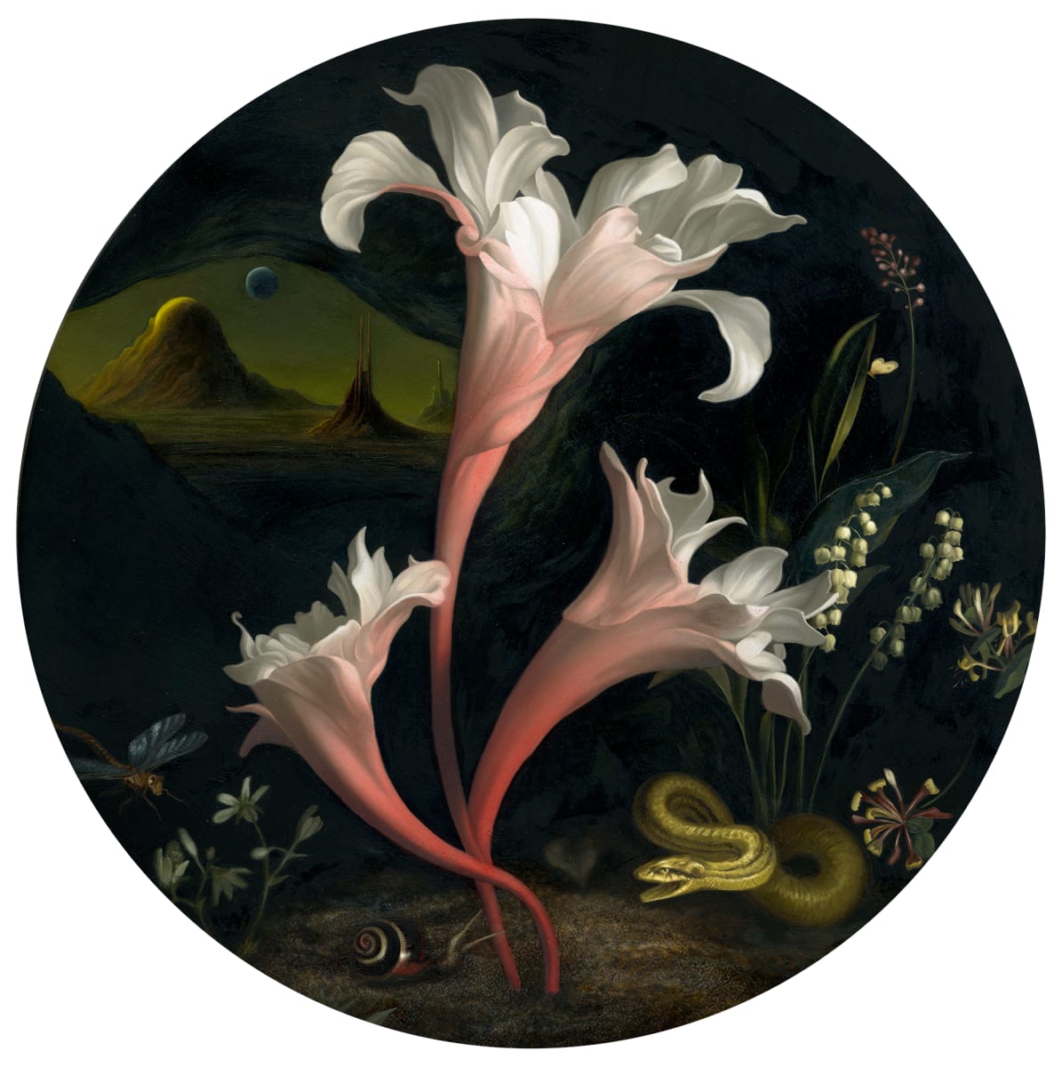 Sottobosco (Off Terra) by Lindsey Carr, Image 1.