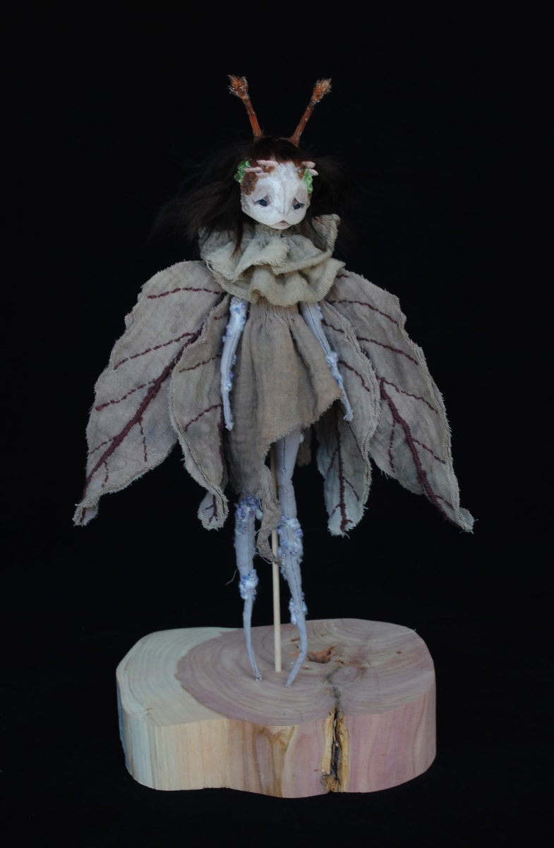 Lepidoptera saprophyte by Karly Perez 