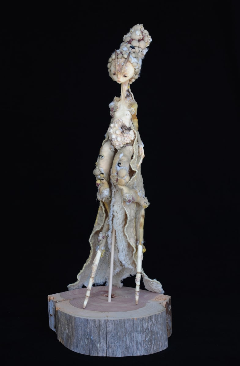 Mantodea mycorrhiza by Karly Perez, Image 1.