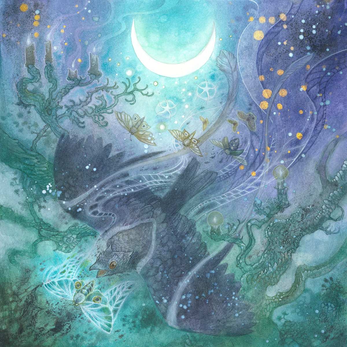 Nightjar by Stephanie Law, Image 1.