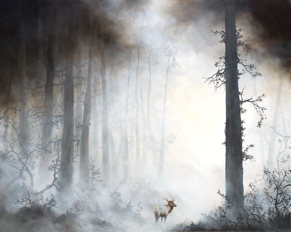 Old Growth by Brian Mashburn 