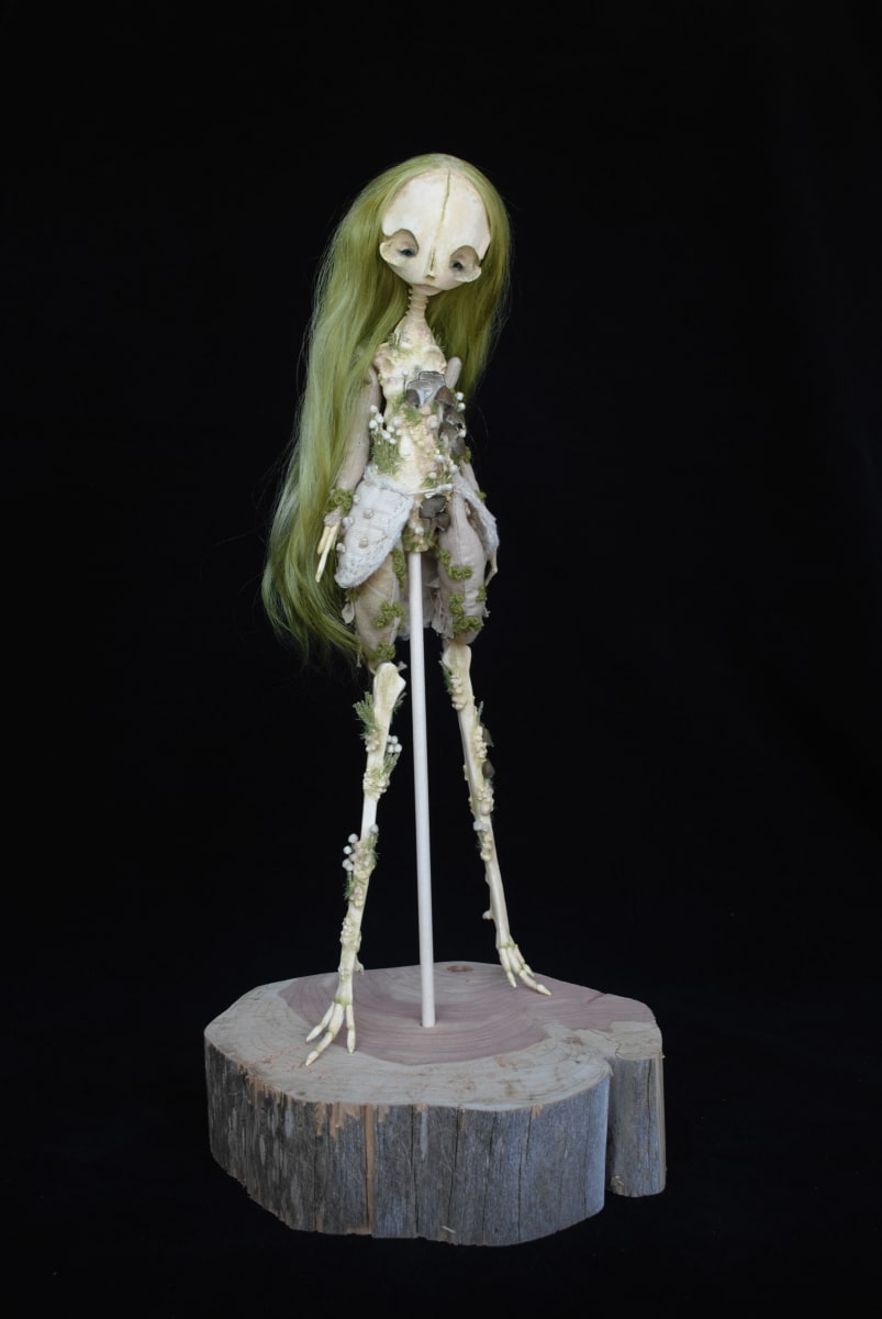 Ornithurae saprophyte by Karly Perez 