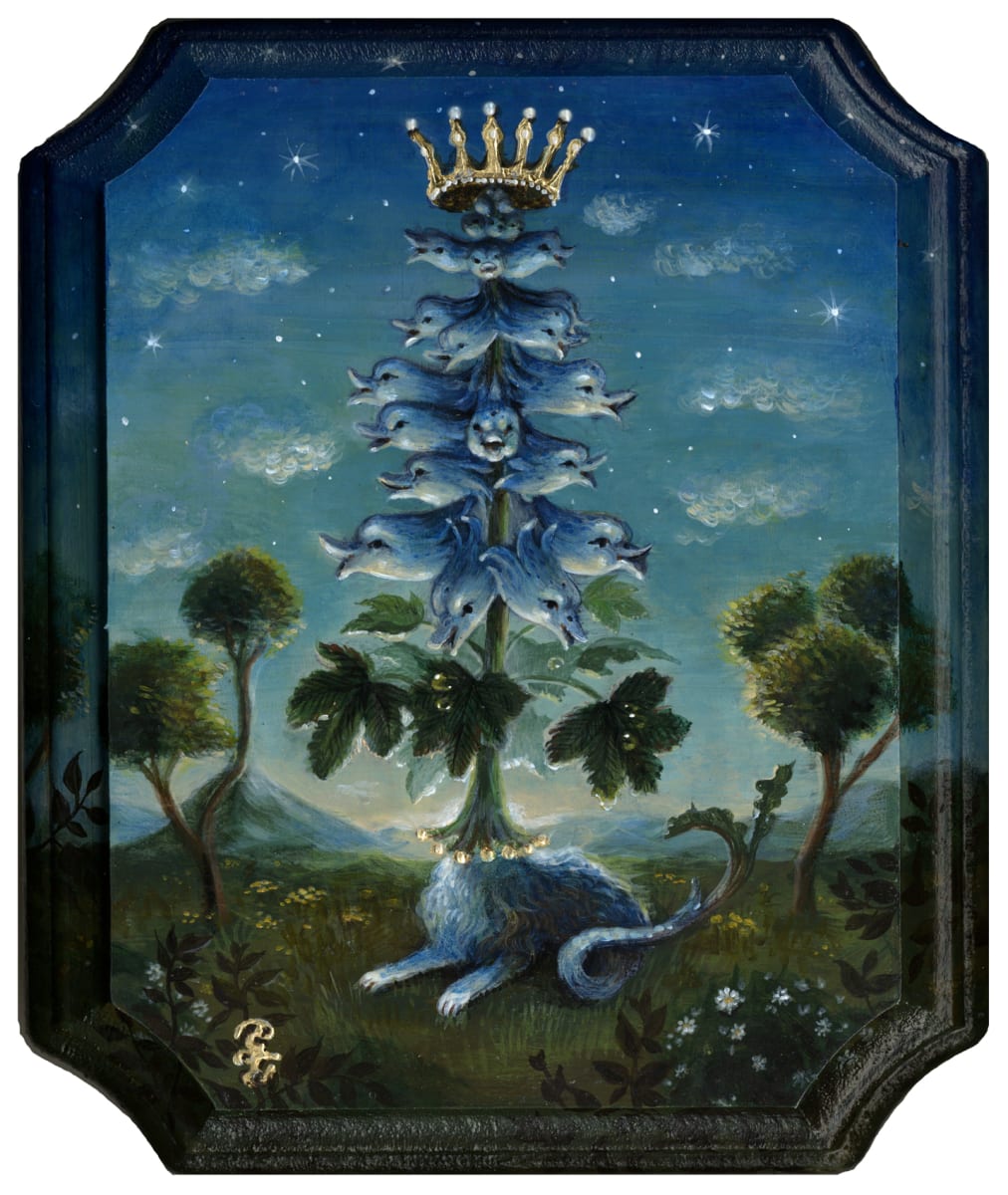 King Delphium by Sui Yumeshima 