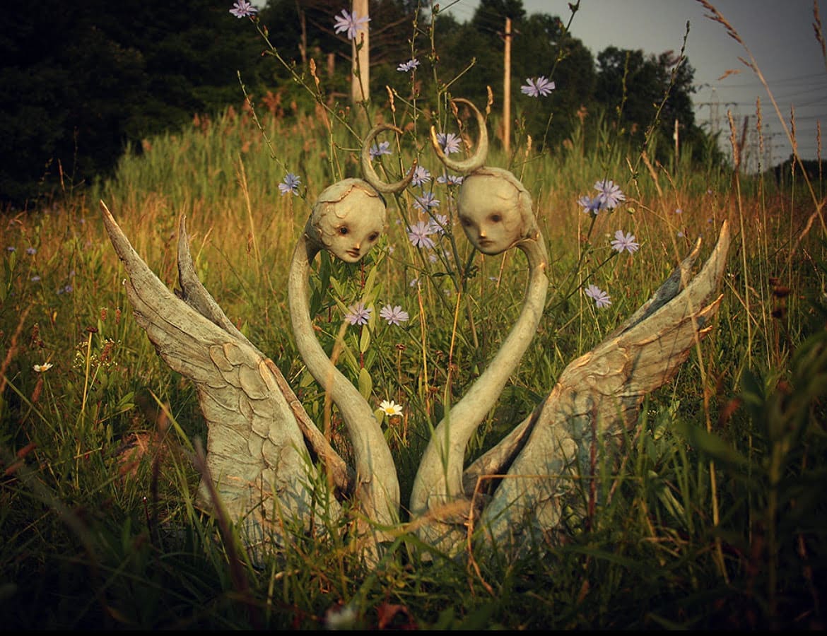 Swans by Scott Radke 