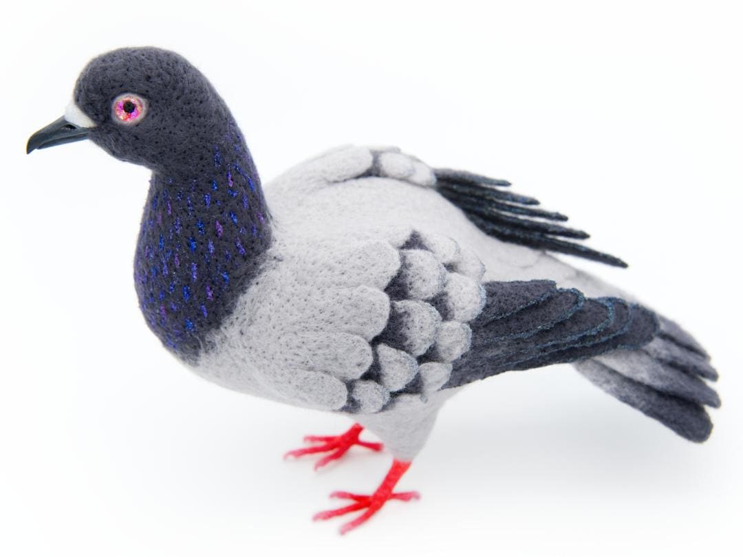 NYC Pigeon by Zoë Williams 