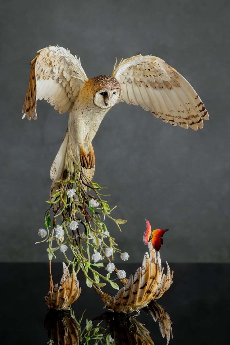 Silent shadow by Karun Roma 