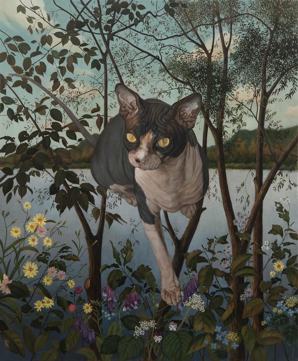 A Sphynx Cat by Cho Hyeon Jung 