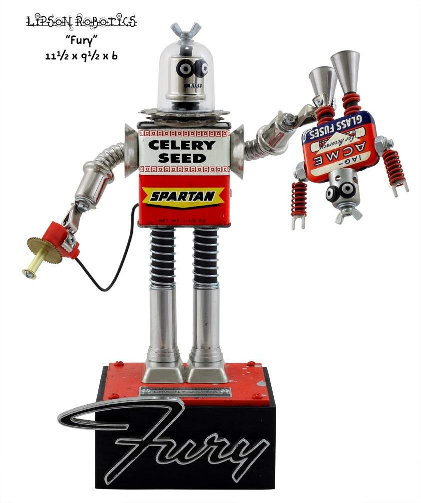 Fury by David Lipson 