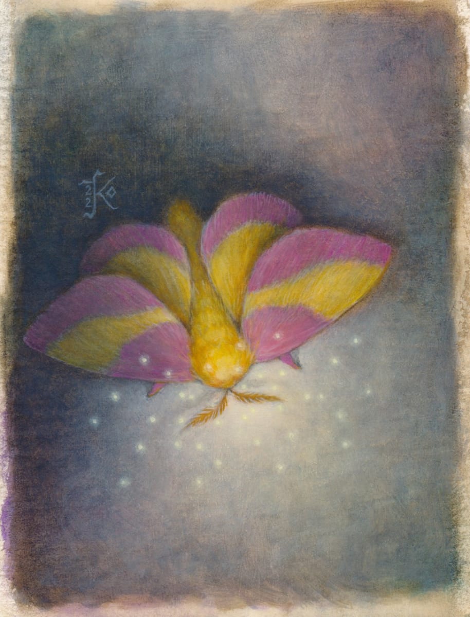 Rosy Maple Moth by Kaysha Siemens, Image 1.