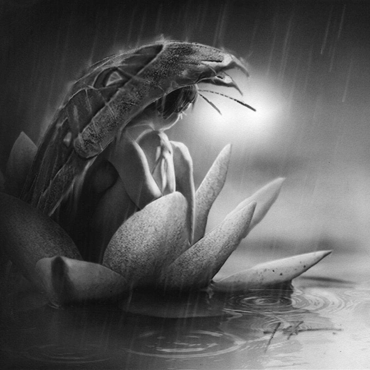 Luminary’s Watch by Jeff Echevarria 