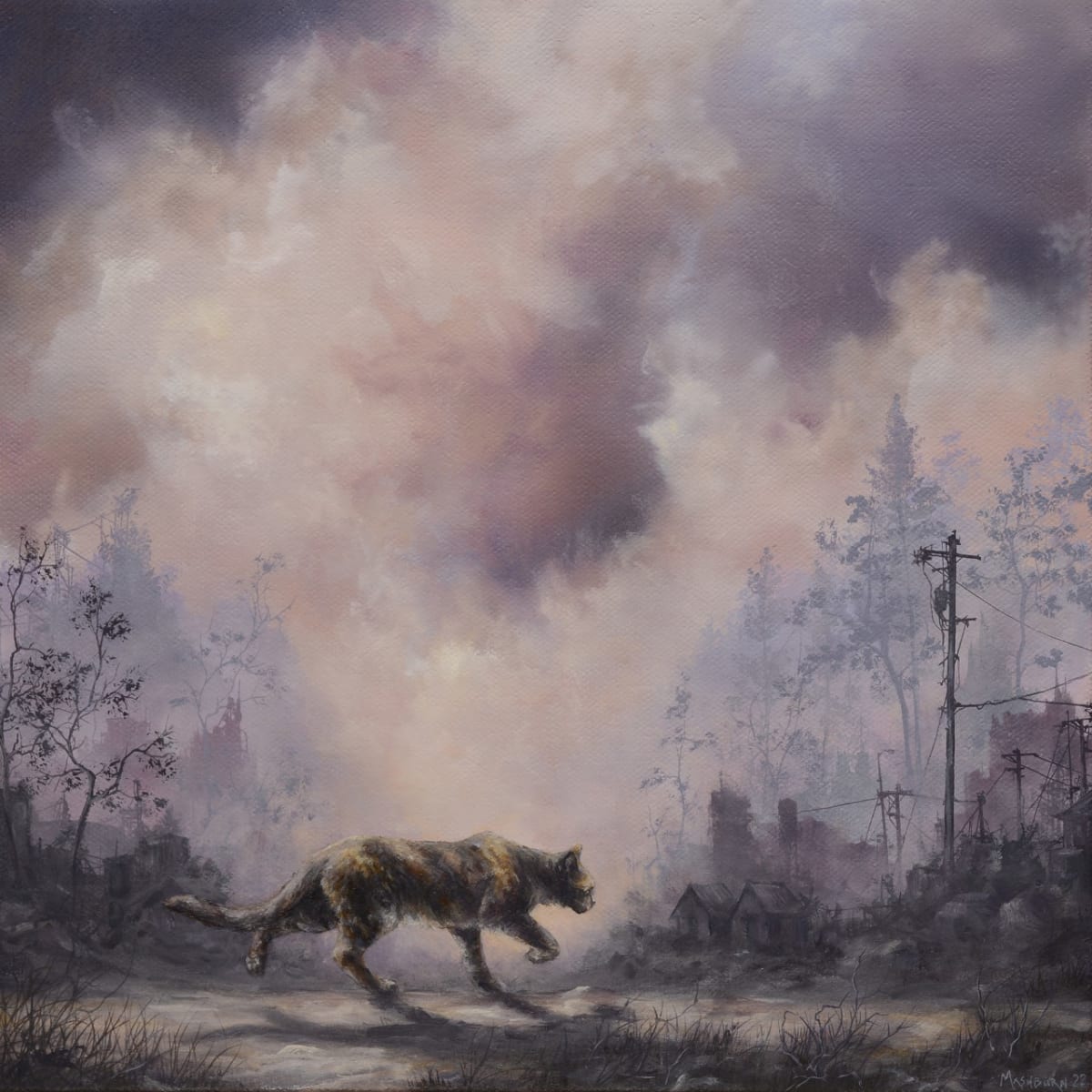 Buttercup by Brian Mashburn 