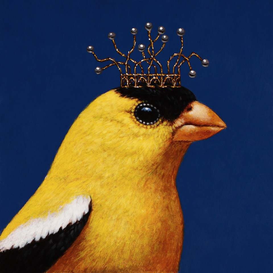 Royal Goldfinch (Blue) by Steven Kenny, Image 1.