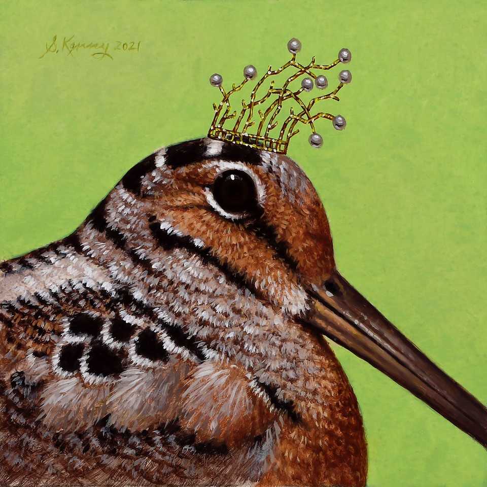 Royal Woodcock by Steven Kenny 