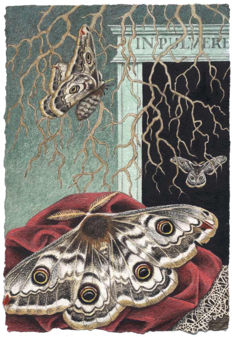 NACHTFALTER (FOR DANA) by Madeline von Foerster, Image 1.