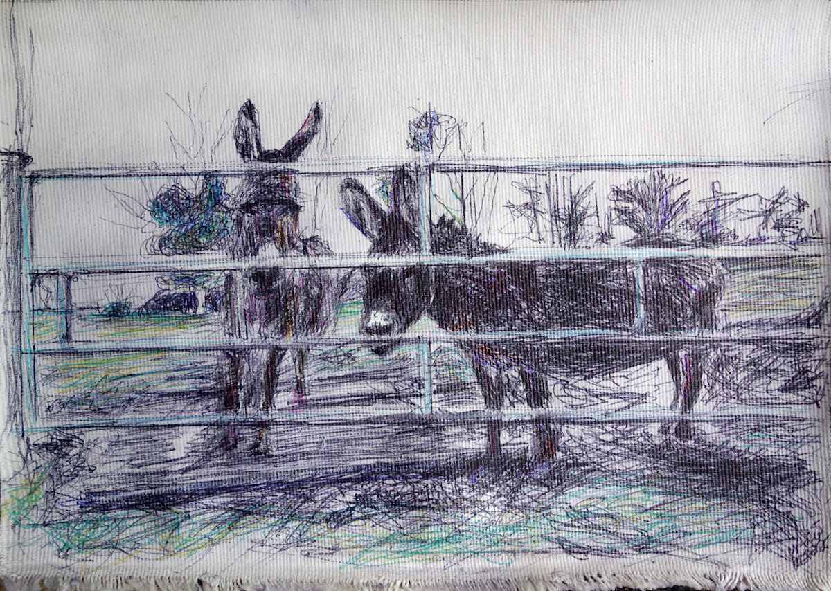 Clever Donkeys by Marie Désert  Image:  Copyrights ADAGP, Paris 2023