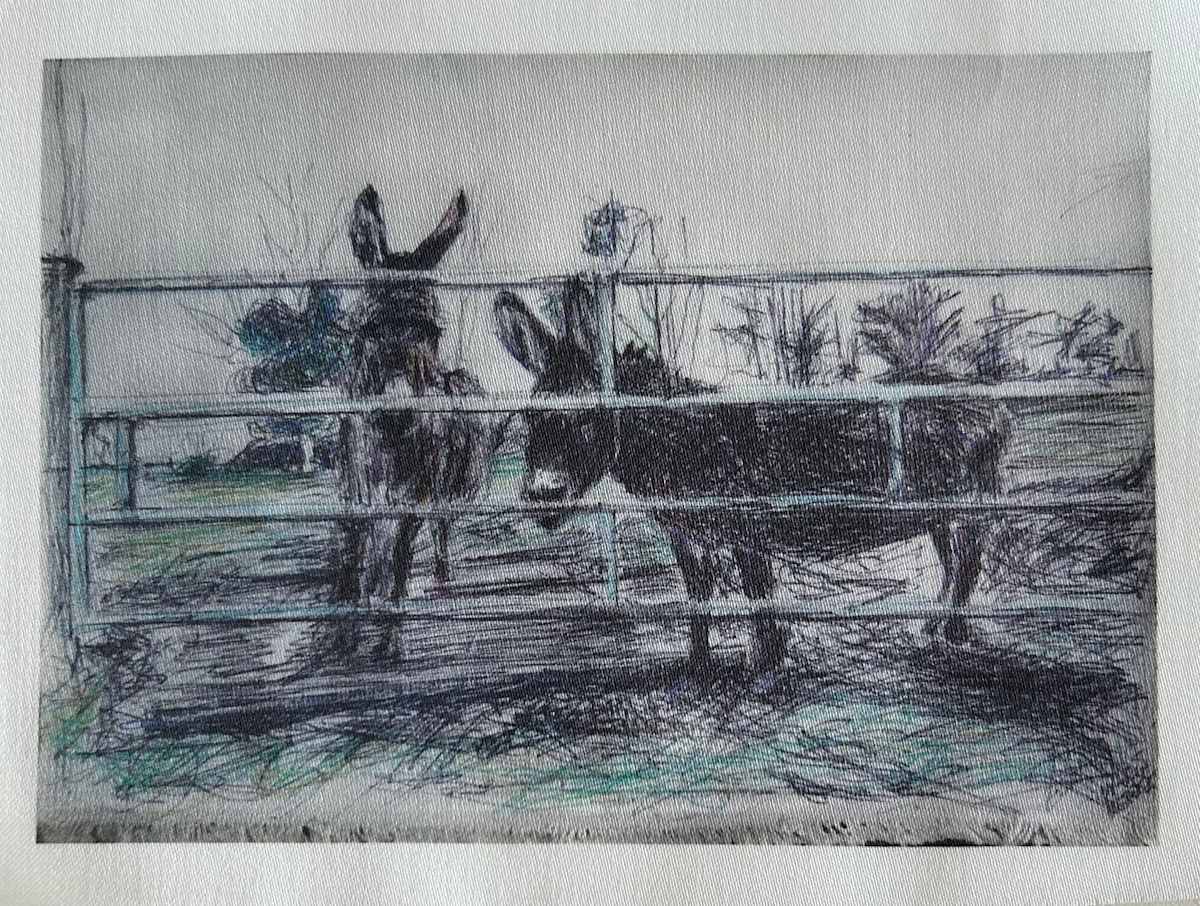 Tissu - Clever Donkeys by Marie Désert 