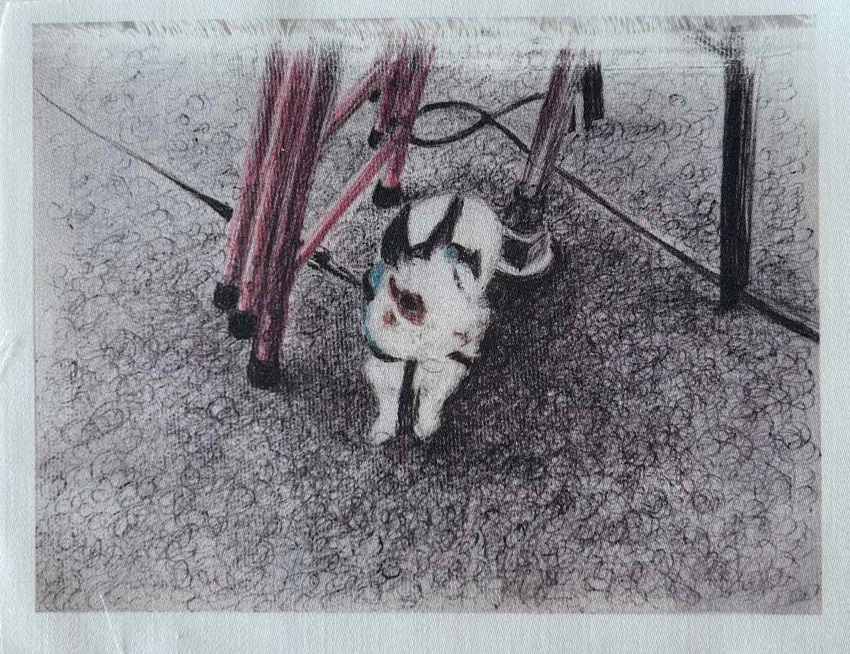 Tissu - Little Rabbit by Marie Désert, Image 1.