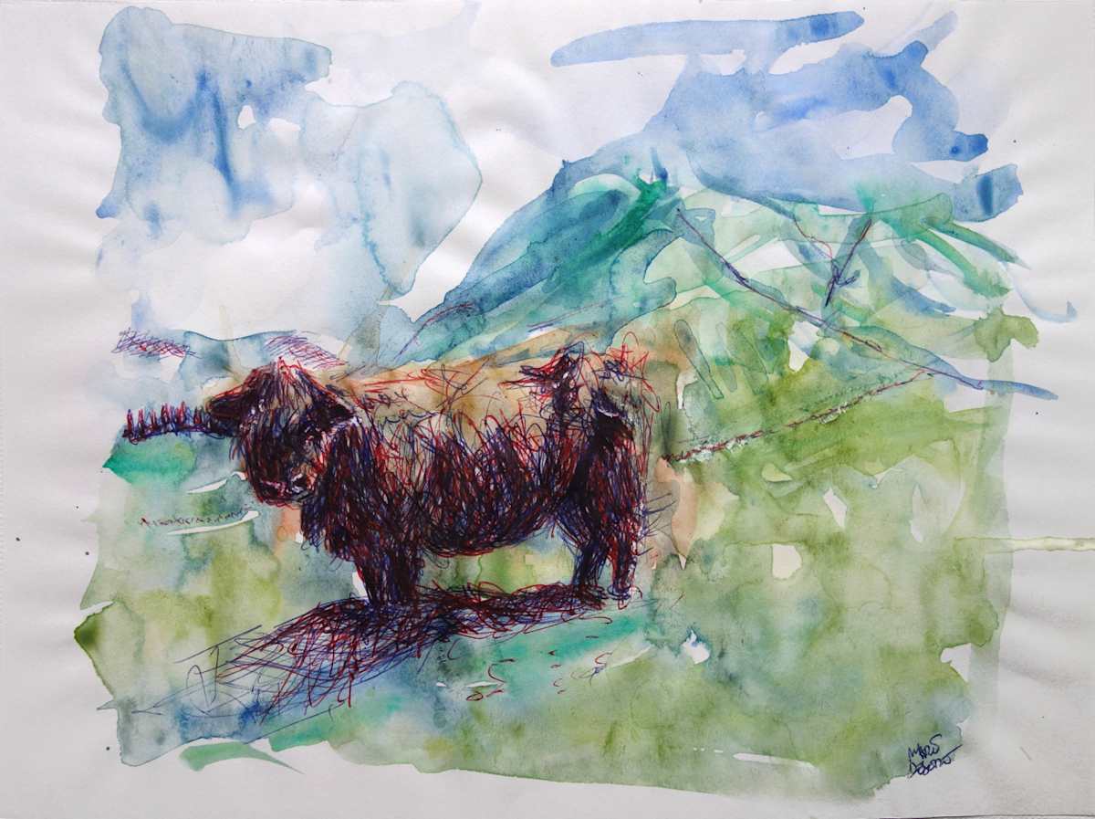 Vache Highlands III by Marie Désert 