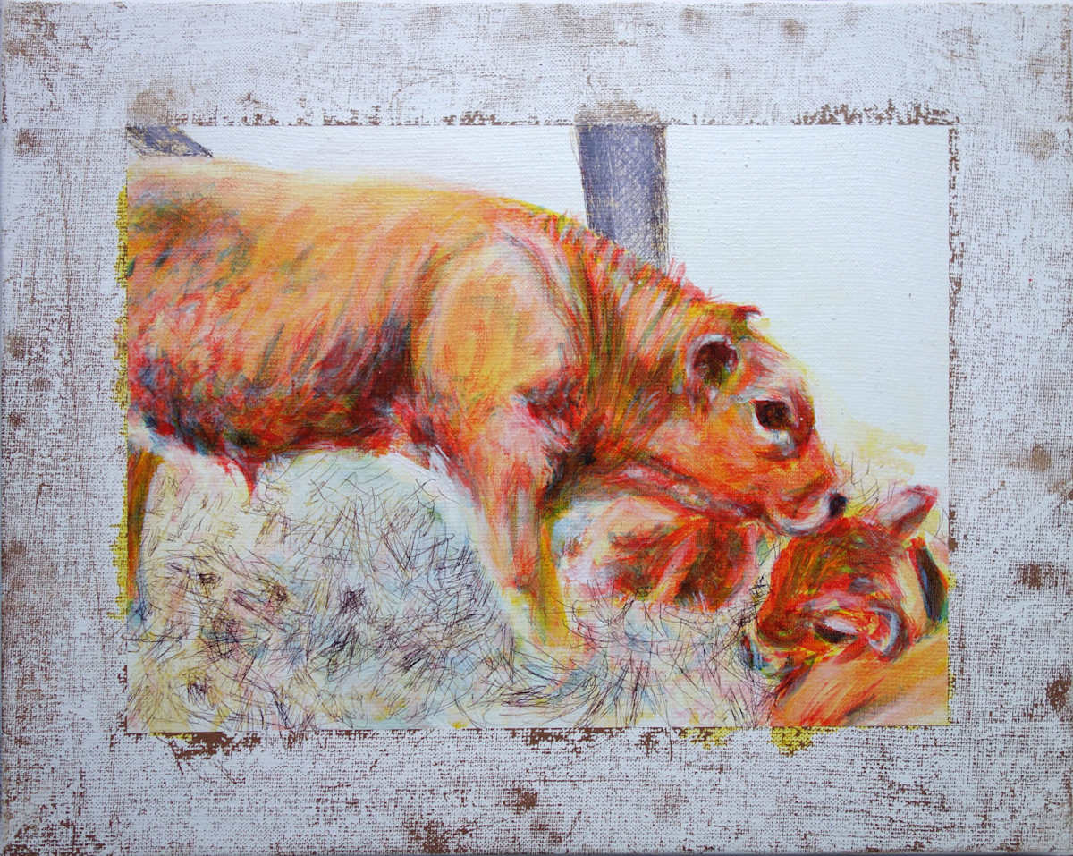 Nos amis animaux I by Marie Désert, Image 1.