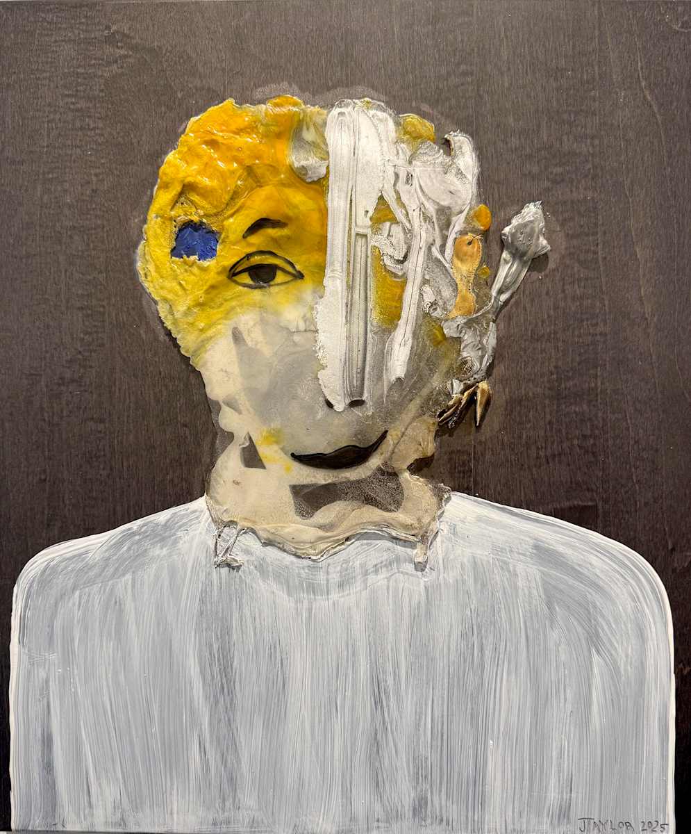 Plastic Man by Jennifer Taylor 