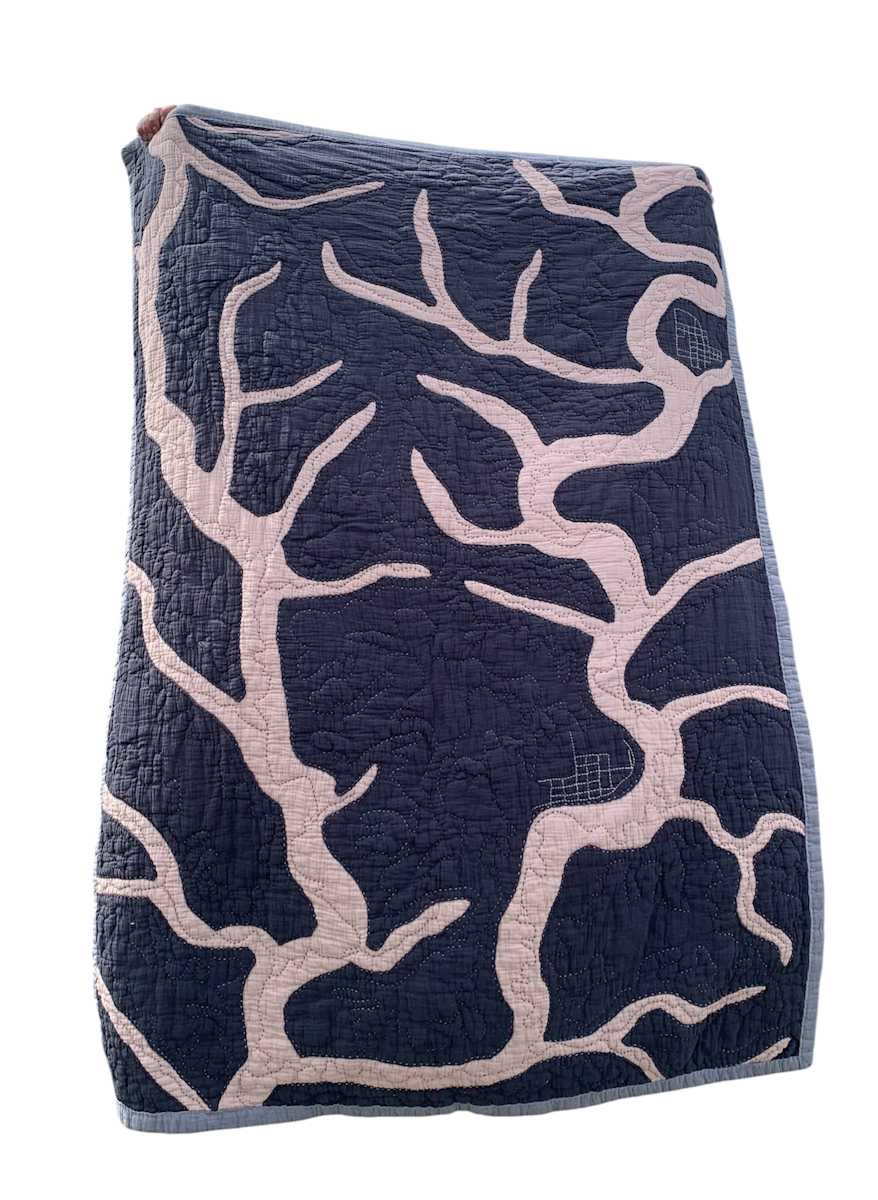 Kickapoo River Quilt by Shea Schachameyer 