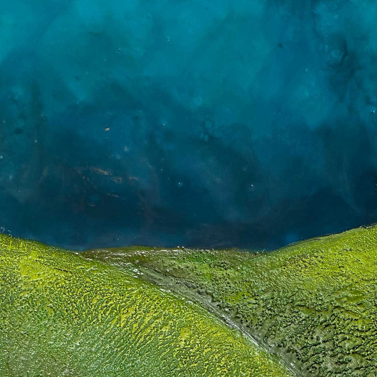 Hills and Valleys by Laura Phillips 