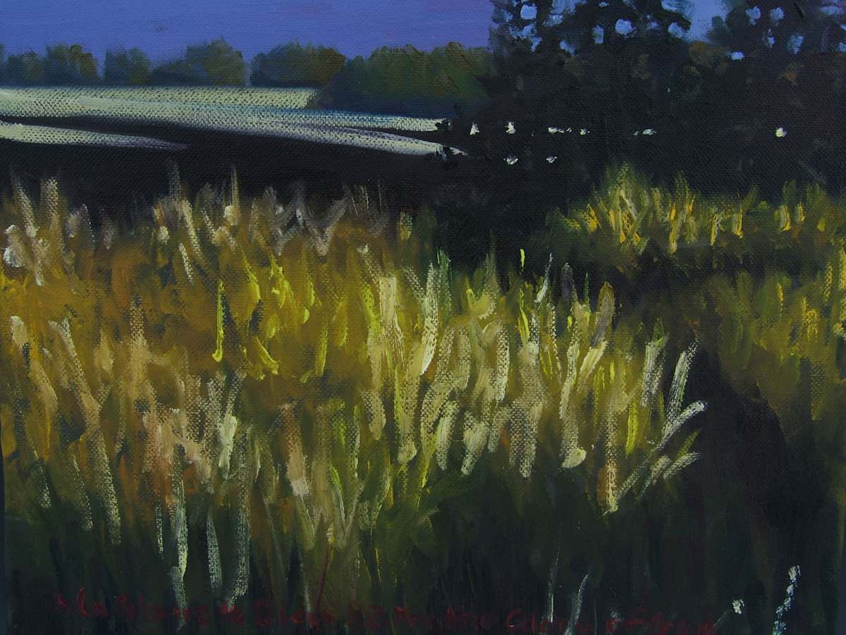 Touch of Gold/éclat by Karen Blanchet, Image 1.