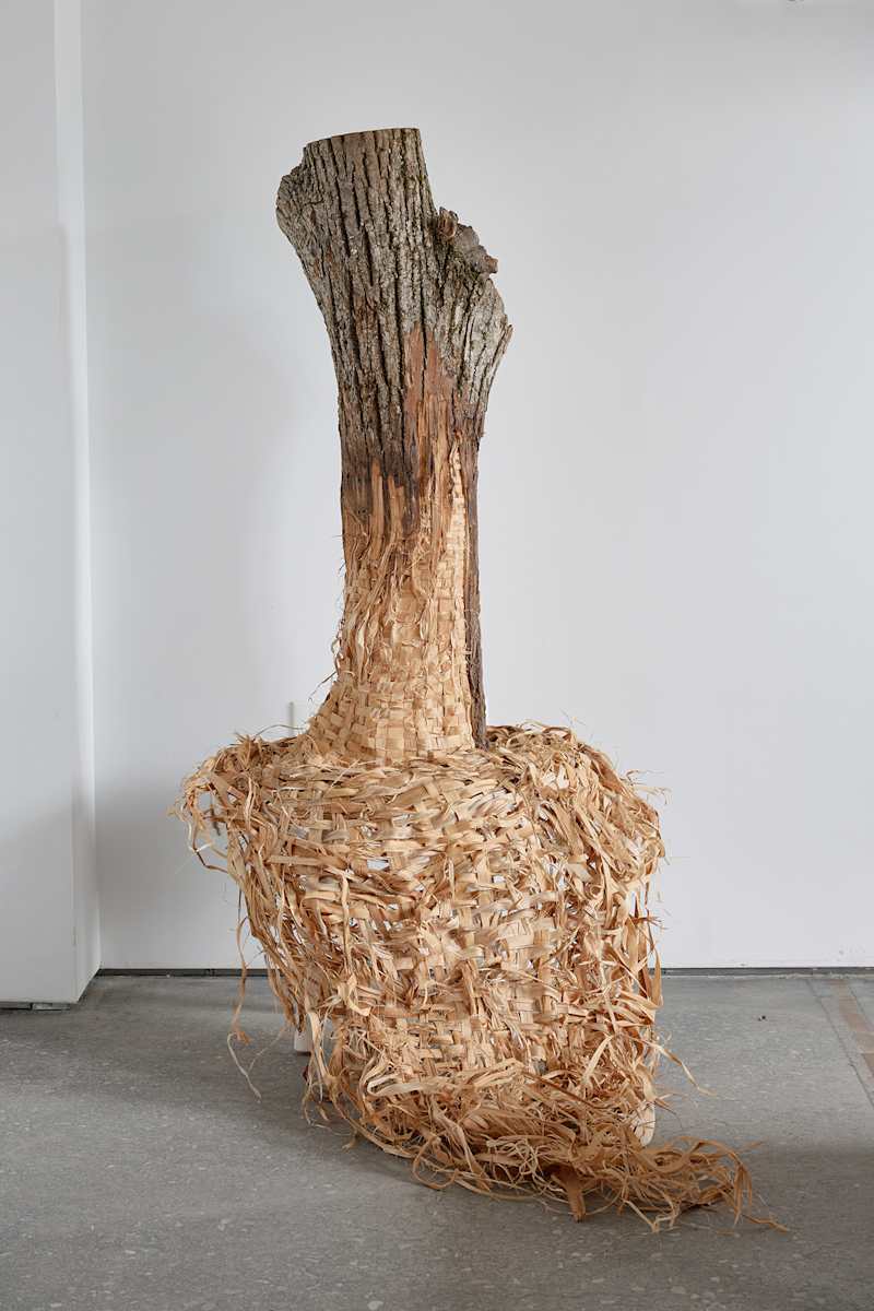 Untitled by Katie Grove, Image 3.