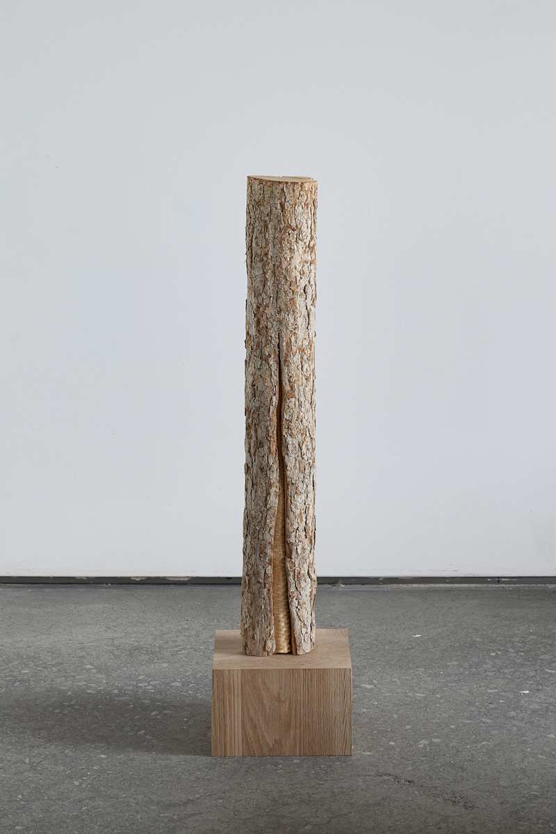 Rift/Repair by Katie Grove, Image 3.
