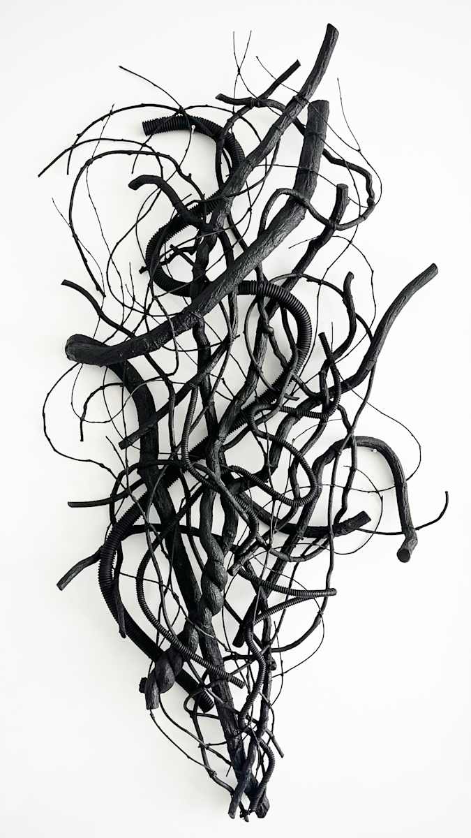 Blackbird, Backwards by Jay Sylvester, Image 1.