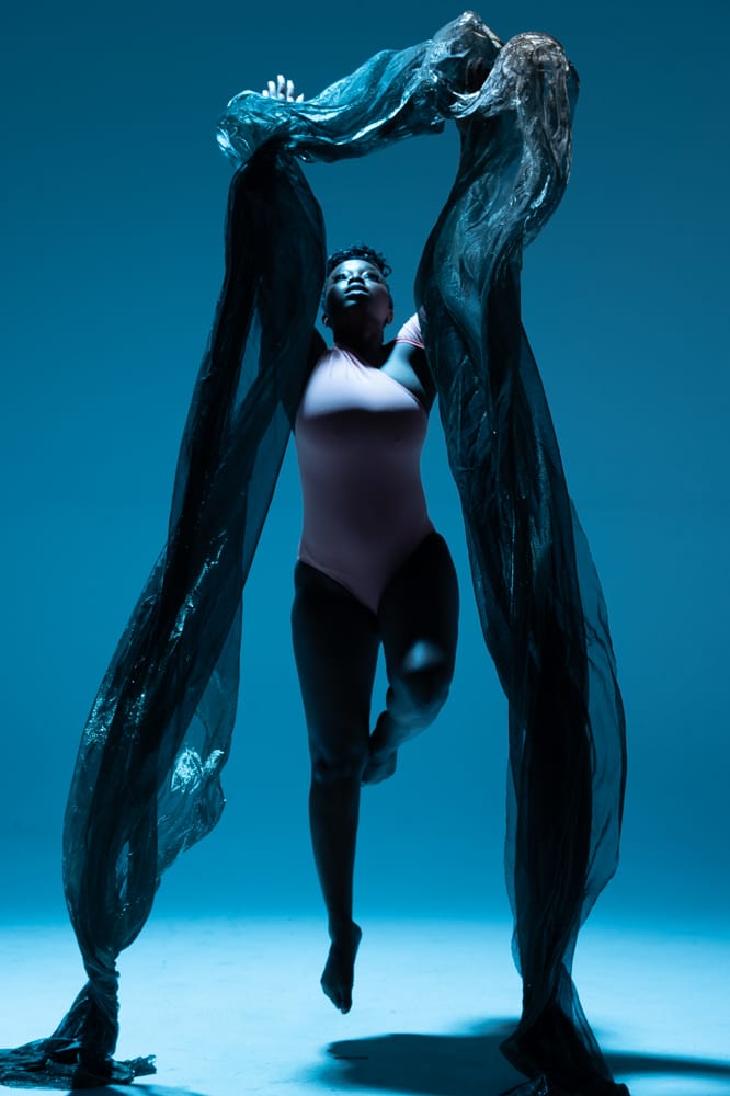 Diving into the Light by Shoccara Marcus 