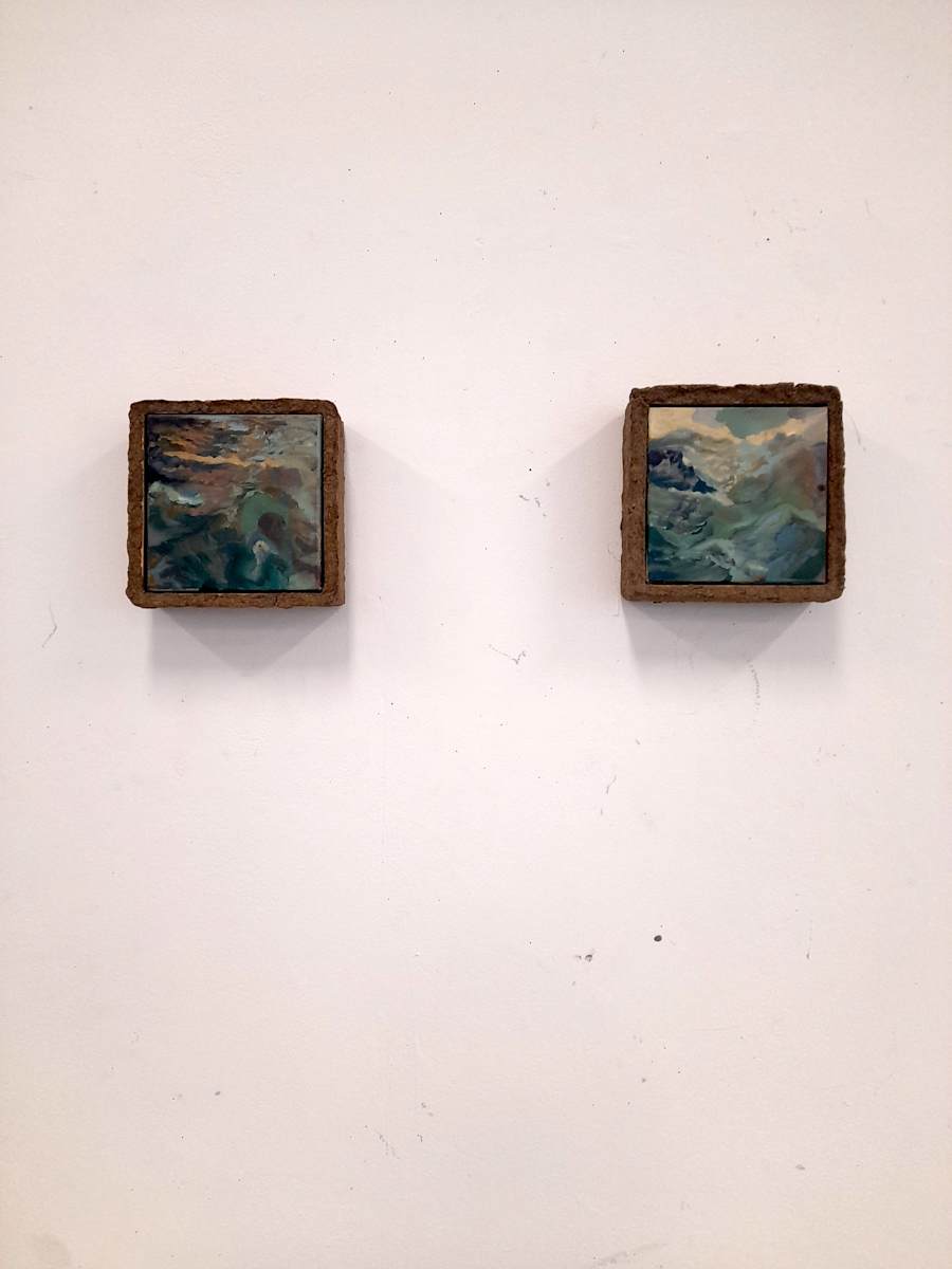 Big Swim and Little Swim by Nicole Steenhof 