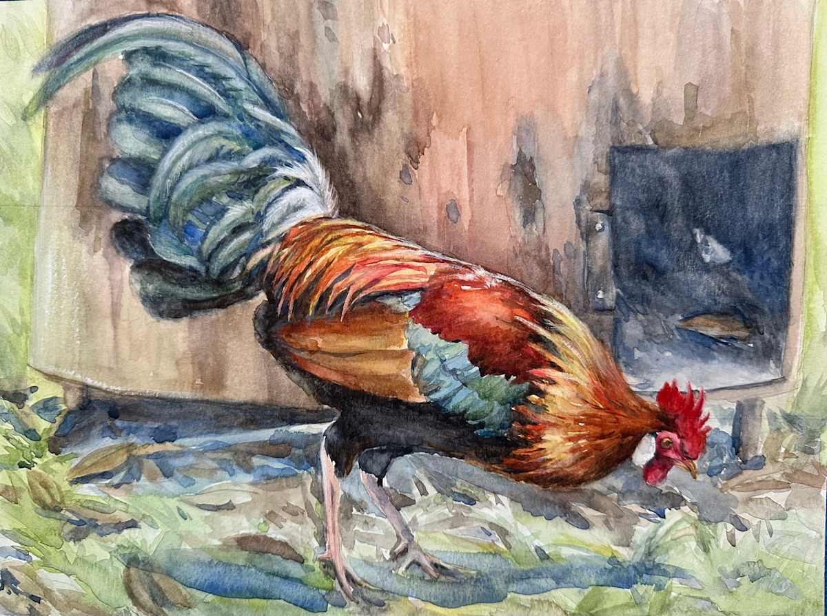 Foraging by Pei-Tse Goh 