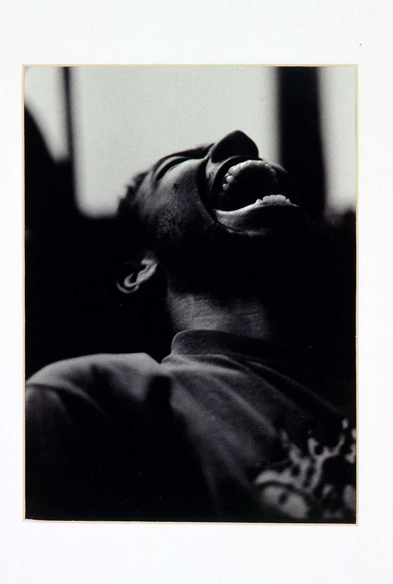 Ferb Laughing by John Brewer, Image 1.