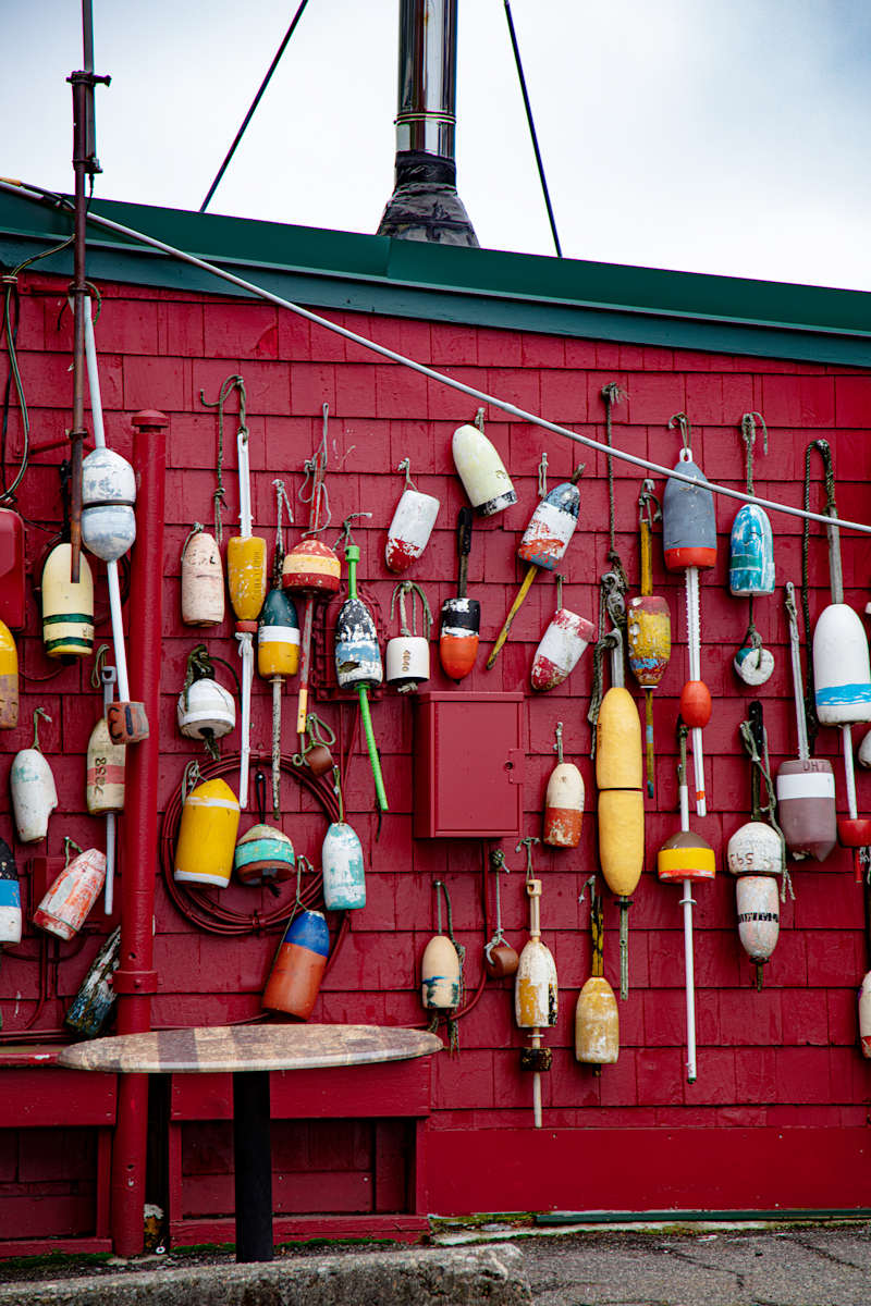 Coastal In Boston #3 by Izzie Burke