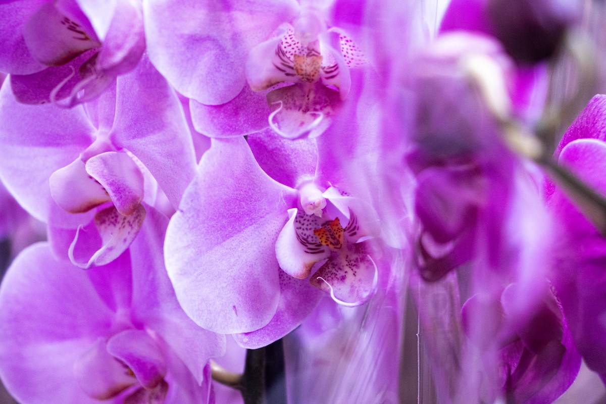 Reflection by Izzie Burke 