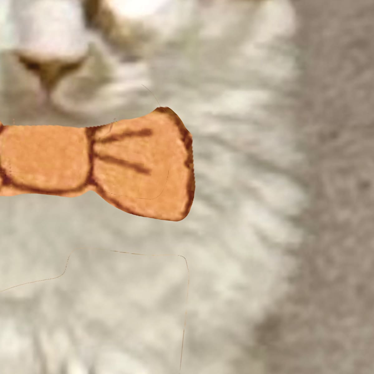 Incognito by Destiny Francis 