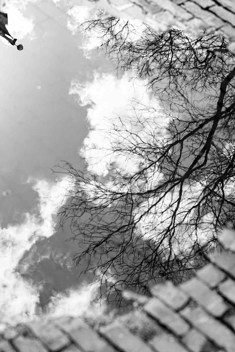 Untitled by Nancy Gonzales, Image 1.