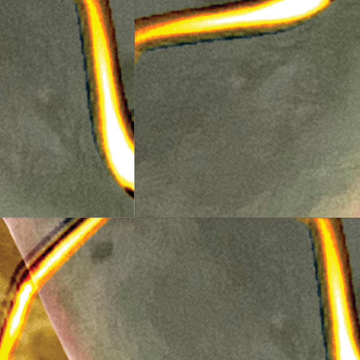 Jacob by Jamaica Hubbert-Walters 