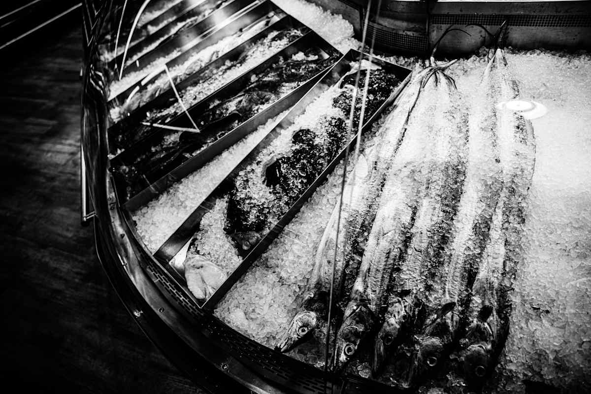 Fishy Fishy by Akeakamai "AK" Ishikawa 