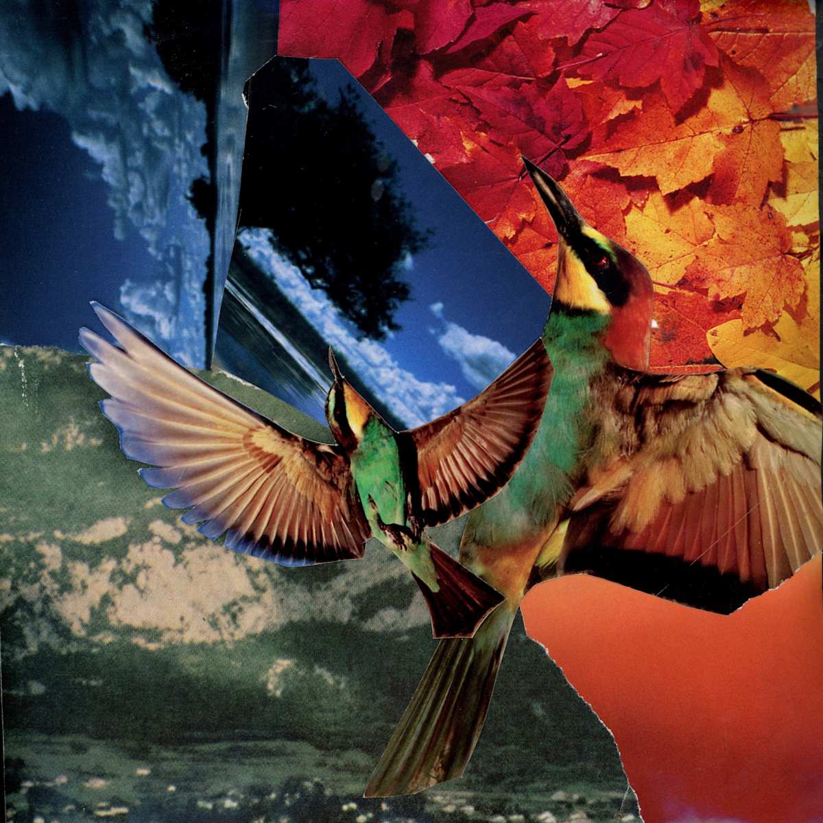 Fly by Fantasia Nguyen, Image 1.