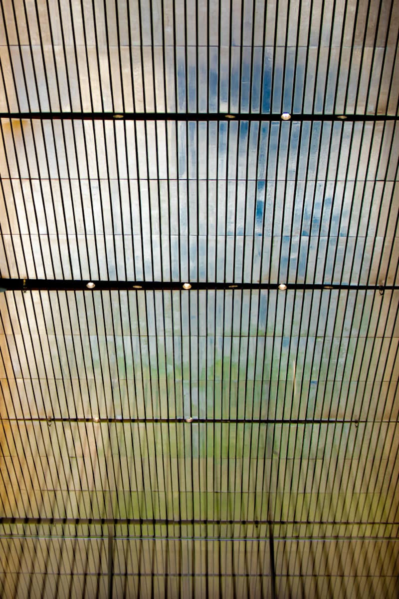 Painted Sky by Nicolas "Nick" Nguyen 