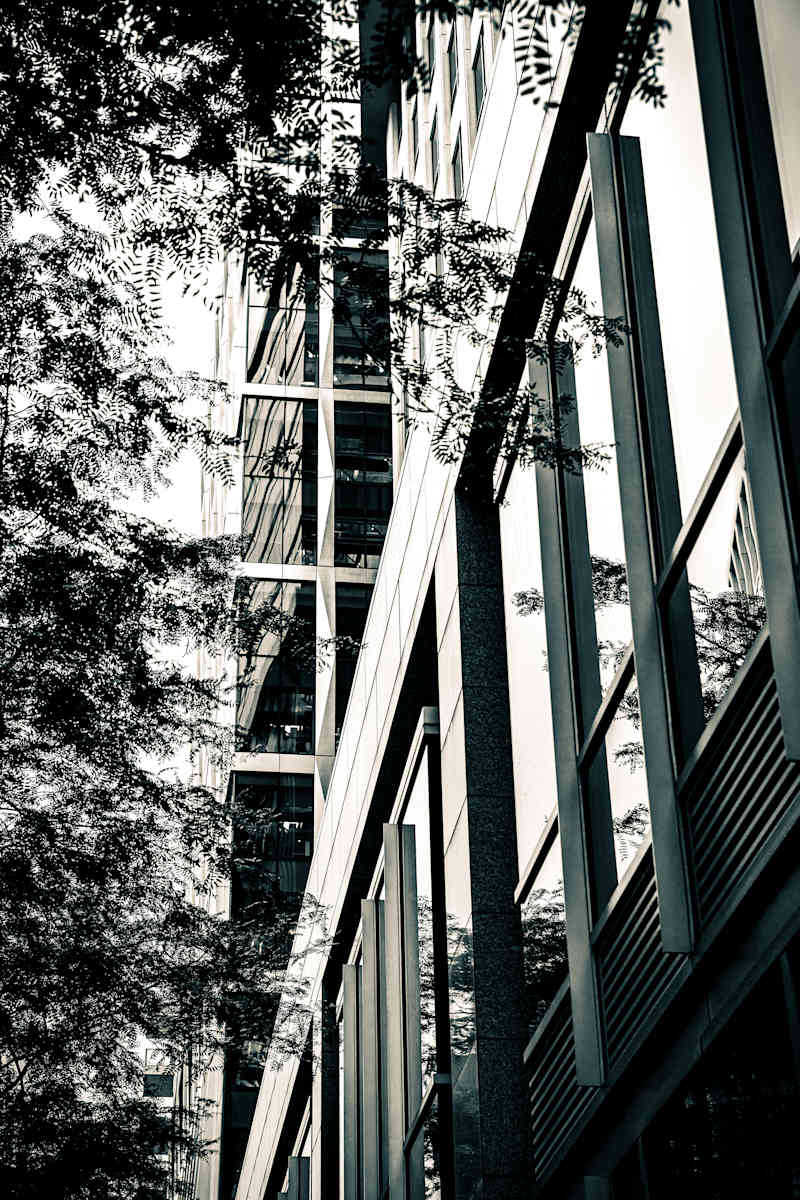 Near Elucid #1 by Ladan