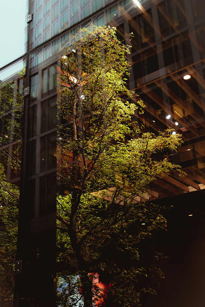 Reflection #3 by Ladan 