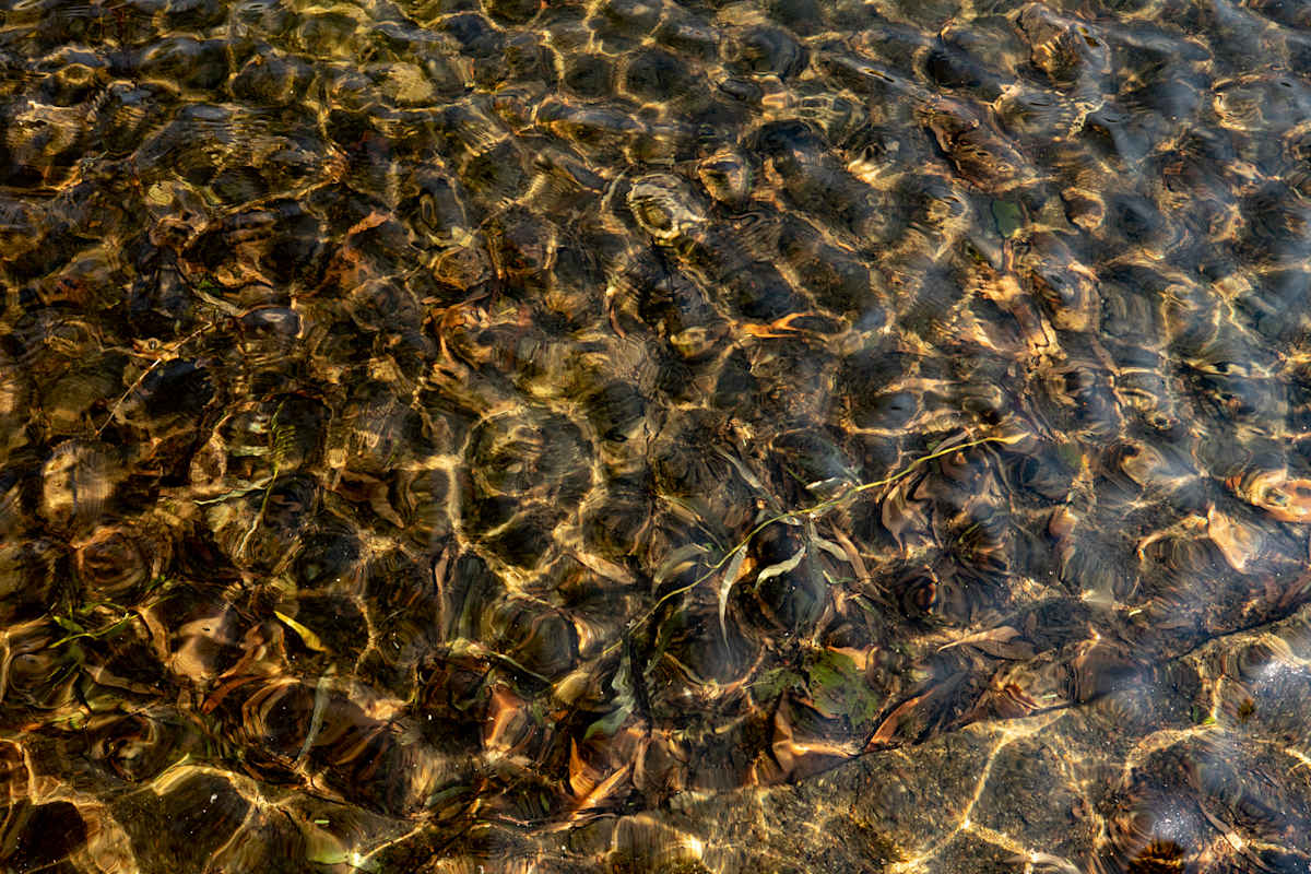 Serenity #2 by Maiyara Tavares