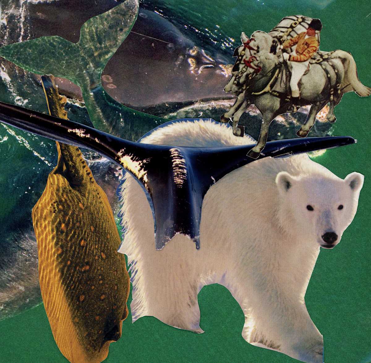 Climate Change by Donny Tran, Image 1.