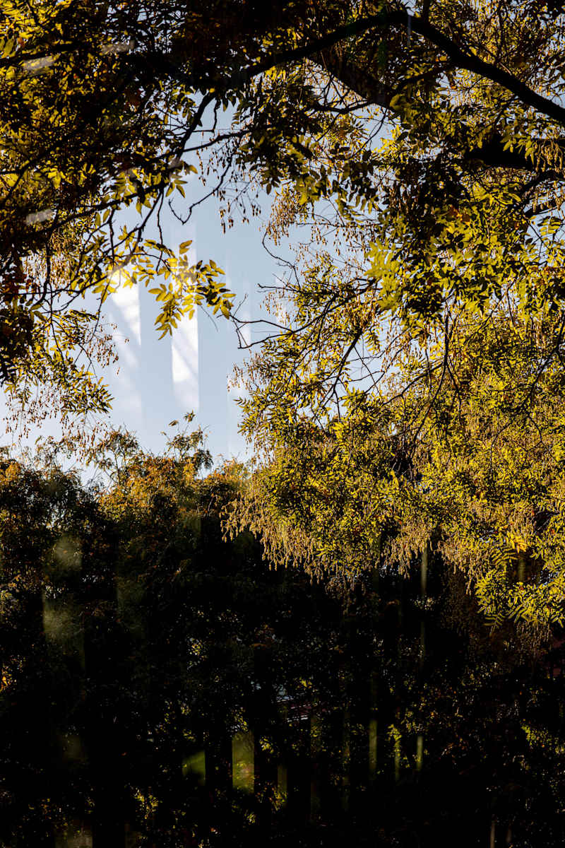 Untitled by Jonas, Image 1.
