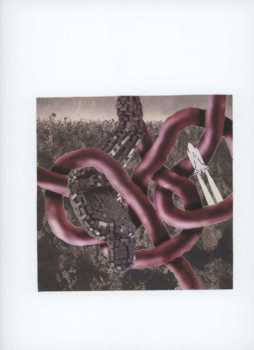 NEEDS A TITLE 2 / purple rope by Derrick Rogers 
